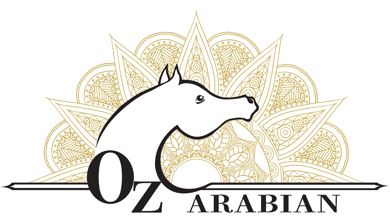 Logo oz arabian2 (1) 2.png